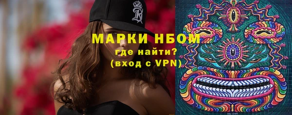 индика Алзамай